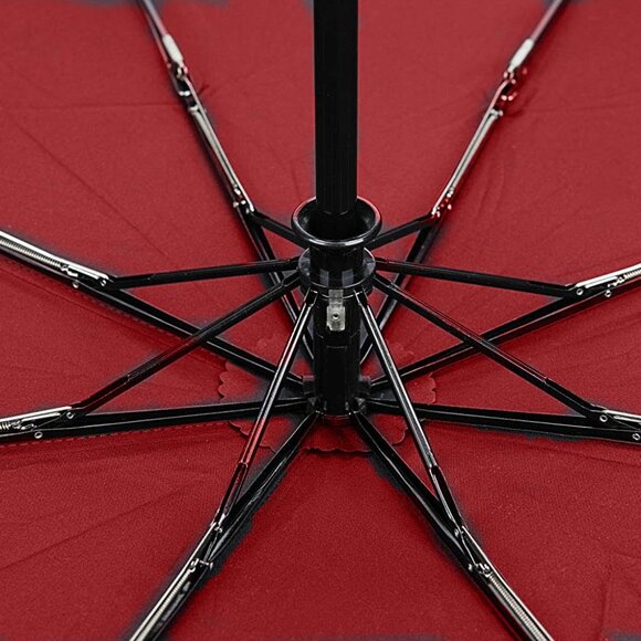 Variety To Go Windproof Compact Travel Umbrella, Auto Open/Close, Folding - Picture 4 of 12